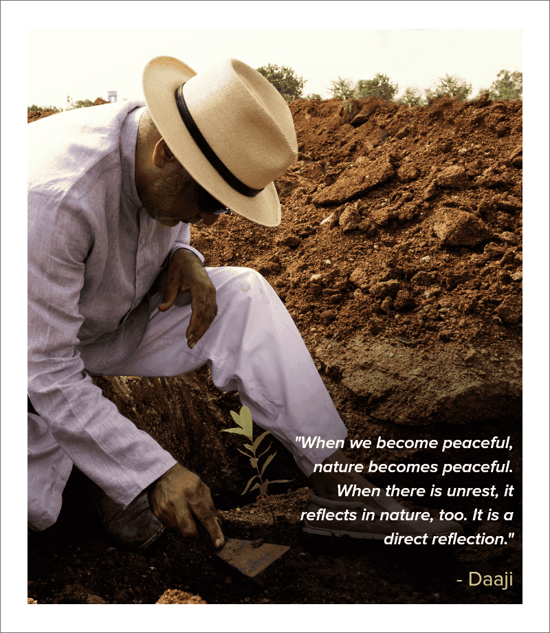 daaji_at_plantation_img.png