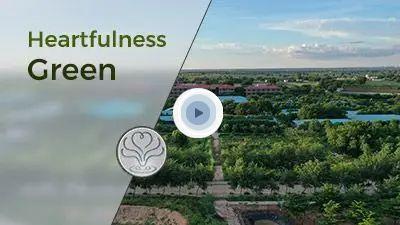 Heartfulness Green