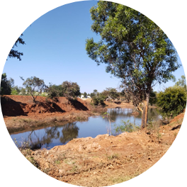 Neighborhoodborewell