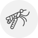 Dengue, Malaria & <br/> Typhoid
