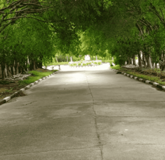 an empty road at heartfulness meditation center in gurugram