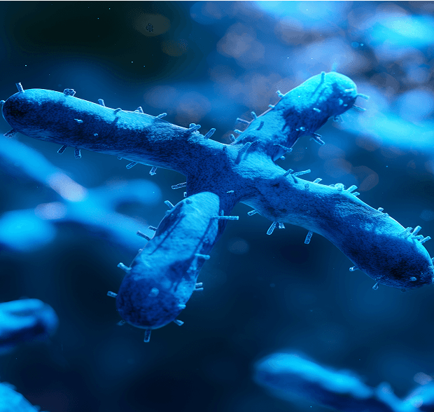 Impact of Heartfulness meditation practice on anxiety, perceived stress, well-being, and telomere length